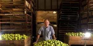 Barry Aumann with his crates of picked Granny Smith apples at his Warrandyte Orchard.