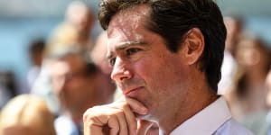 McLachlan hits out at court battle over Essendon drugs saga