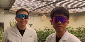 Priraphong Lertkraiwan,left,and Piyatat Didsayothin at their cannabis farm in Chiang Rai.