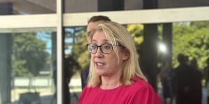 Touch WA’s GST and suffer the political consequences:Saffioti