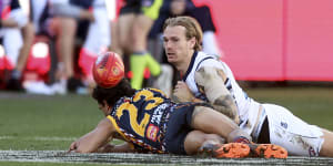 Tom Stewart was a significant presence for the Cats against the Crows.