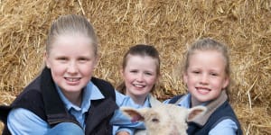 A big hit on EweTube:sisters star in Show's virtual sheep contest
