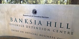 'Gross claims of torture':WA MP calls for Amnesty apology on Banksia Hill