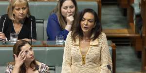 Minister for Early Childhood Education Anne Aly said senator Fatima Payman’s vote on Tuesday night was “inconsequential to the people of Gaza”.