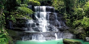 Is this really Jakarta? A waterfall in Bogor Botanic Gardens. 