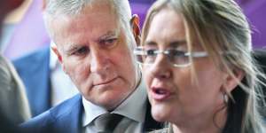 Former deputy prime minister Michael McCormack says Jacinta Allan has the “smarts” to step up to the top job.