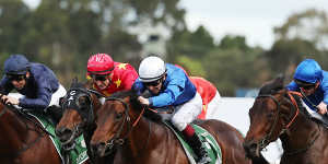 Gotcha moment:James McDonald and Broadsiding (right) nab Traffic Warden in the Golden Rose.