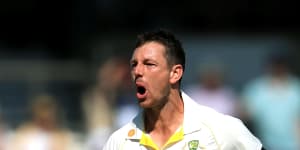 James Pattinson in full flight during the Ashes.