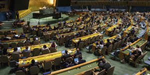 Representatives attending the 79th session of the United Nations General Assembly last week.