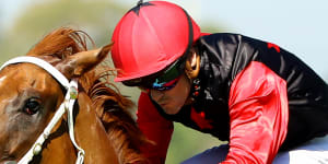 ‘We got a fairytale’:Bonny mare gives father and son hope