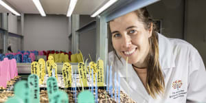 Australian PlantBank technical officer Jessica Wait is working on a project to propagate endangered species of Australian native orchids.