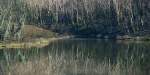 A view of the Talbingo Reservoir in the Kosciuszko National Park in early August. Much of the park was hit hard by last January's bushfires.