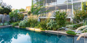 This relaxed Melbourne garden designed by Amanda Oliver is dynamic and resilient