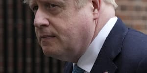 ‘Poodle on roubles’:Johnson turns blind eye to oligarchs