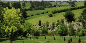 Six reasons to visit Neerim South