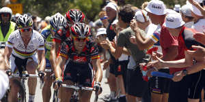Cadel Evans in the rainbow jersey in the 2010 Tour Down Under.