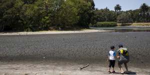 A father and son take photographs of the dry lake bed of Busby Ponds in Centennial Park in Sydney on Saturday.