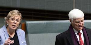 Will teal MP Zali Steggall step up to be the next crossbench whip?