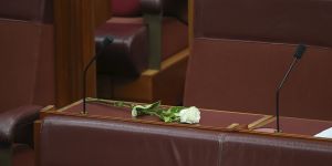 A flower is placed on the desk of the late Senator Kimberley Kitching,during a condolence motion on Monday.