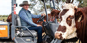 Jim Walker with his cattle on his property at Rawsonville just outside Dubbo.