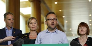 Old Greens wounds reopen as members vote on directly electing leader