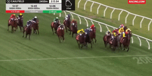 Jockey Mark Zahra was penalised for his whip use in the Caulfield Cup.