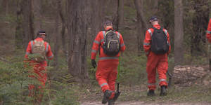 Police search for Samantha Murphy at Enfield State Park on Thursday.