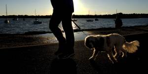 I’ve learnt to find pockets of joy in my day.