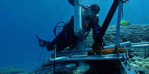 A scientist takes a core from a coral off Queensland. Flinders Reef was considered as a “golden spike” candidate because corals hold temperature and chemical data going back hundreds of years.