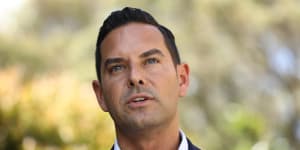 Independent MP Alex Greenwich says he can work a majority Labor government.