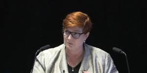Liberal senator Marise Payne gave evidence to the robo-debt royal commission on Tuesday.