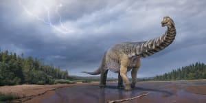 Australia's largest dinosaur discovered:How to join fossil digs with Eromanga Natural History Museum