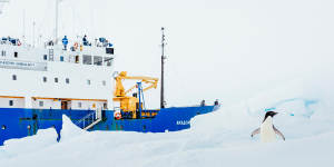 Blizzards and massive icebergs worsened the Akademik Shokalskiy’s Antarctic plight.