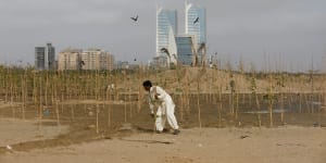 Lakshman,40,pushes a stick used to support a seedling,as he works at Clifton Urban Forest,previously a garbage dumping site in Karachi,Pakistan.