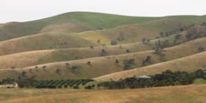 Hills of Fleurieu Peninsula