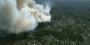 The bushfire at Oxford Falls.