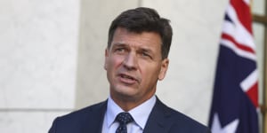 Federal Energy Minister Angus Taylor has rejected calls from environmental groups to phase out gas exports and insists the government can achieve net zero emissions.