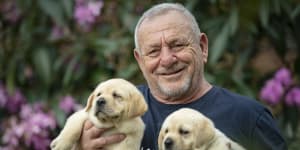 Dog fight:The battle over a bill to stamp out intensive puppy mills