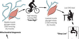 An example of training with high and low carbohydrate intake from Burke and Hawley's review.
