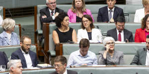 Bridget Archer (top centre in pink jacket) during a vote in the House of Representatives last month.