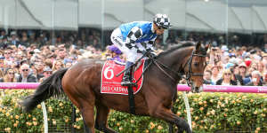 Red Cardinal finished 23rd in the 2018 Melbourne Cup for trainer Darren Weir.