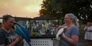 Jasmine Broadbent (left) and Mel Vincent at the Wendouree emergency relief centre in Ballarat with their rescued birds as smoke blots the sky.