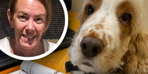 How a puppy picture revealed Melissa Caddick’s stunning $46,000 per day ‘profit’