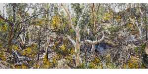 Nicholas Harding’s Wilpena Pound and Eucalyptus (Sliding Rock) (2019-20).