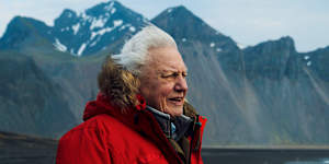 Sir David Attenborough planned a quiet 100th birthday. He couldn’t have been more wrong
