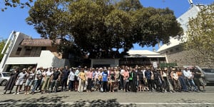 Fremantle activists celebrate after council walks back removal of century-old fig from tree register