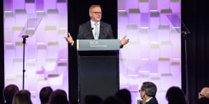 Albanese woos big end of town at Business Council dinner