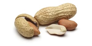 First peanut allergy drug approved by authorities in the US