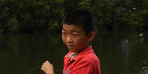 Andrew Li aged 10,puts bait on one of his rods while fishing on the Cooks River at Boat Harbour in Hurlstone Park.
