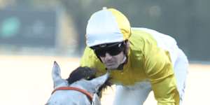 Ethan Brown salutes aboard Jimmysstar in the All Aged Stakes at Randwick on Saturday.